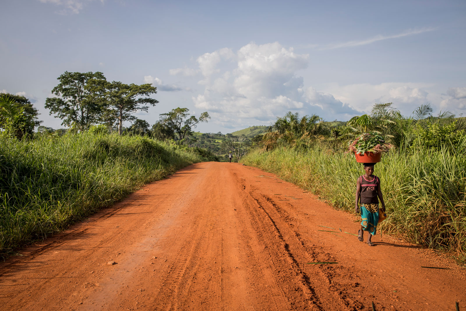 Dzanga-Sangha gravel road